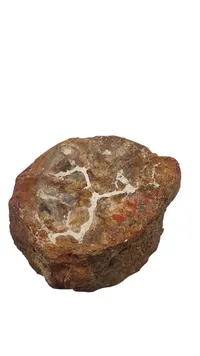 Forstenet træ 506 g