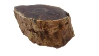 Forstenet træ 510 g