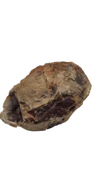 Forstenet træ 510 g