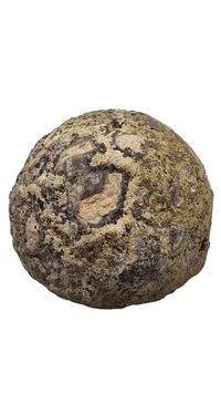 Agat 859 g