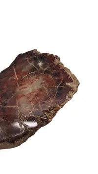 Forstenet træ 278 g