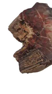 Forstenet træ 278 g