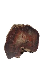 Forstenet træ 278 g