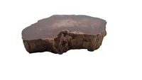 Forstenet træ 278 g