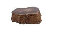 Forstenet træ 278 g