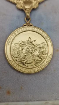 Original amerikansk livredder medalje som tildeles personel i den amerikanske kystvagt