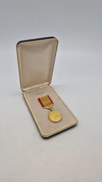 Original amerikansk livredder medalje som tildeles personel i den amerikanske kystvagt