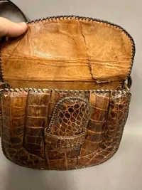 Take af ægte alligator skin
