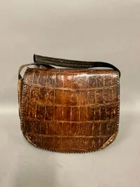 Take af ægte alligator skin