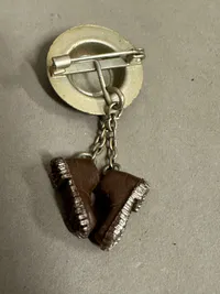 Gebirgsjäger pin