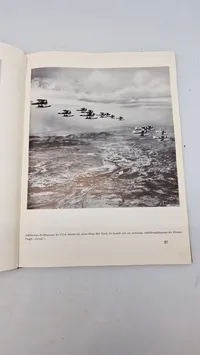 Die Luftmächte der Welt