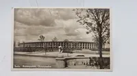 Samling originale postkort, olympiaden 1936