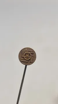 Original Pin for 25 år i SS medaljen,