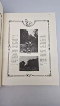 British sporting guns and rifles