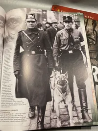 ww2 litteratur
