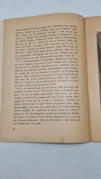 Originalt D.N.S.A.P propaganda WW2