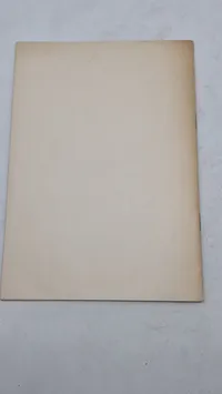 Originalt D.N.S.A.P propaganda WW2