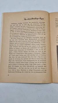 Originalt D.N.S.A.P propaganda WW2