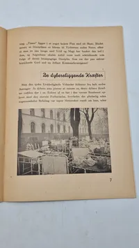 Originalt D.N.S.A.P propaganda WW2