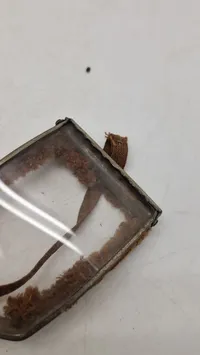 Originale Sjældne Tyske WW1 pilot briller