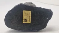 Canadisk bjørnefigur