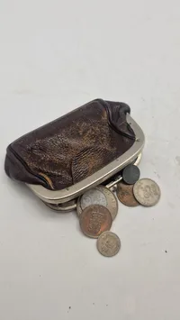 Pung med samling mønter