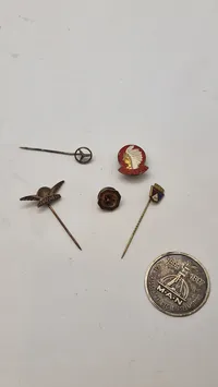 Samling pins