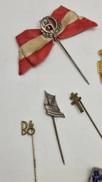 Samling pins
