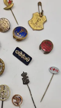 Samling pins
