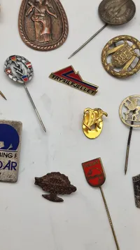 Samling pins