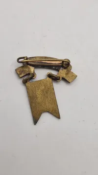 Nationale pins