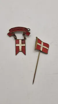 Nationale pins