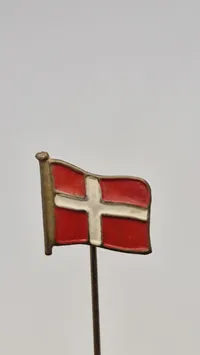Nationale pins