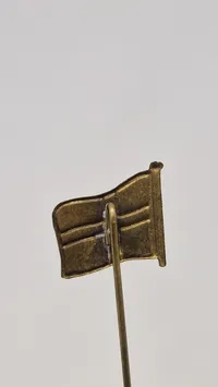 Nationale pins