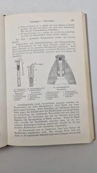 "Das kleine Buch vom Deutschen Heere".