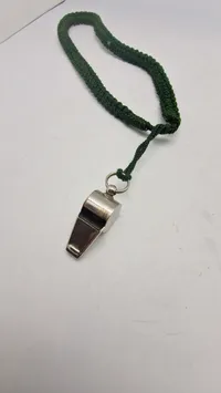 Fløjte, forsvaret