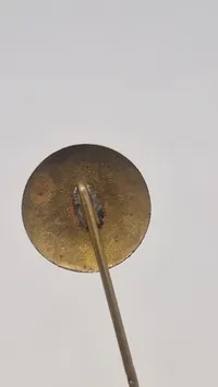 Sjælden original nål fra D.N.S.A.P møde i KB hallen 1941