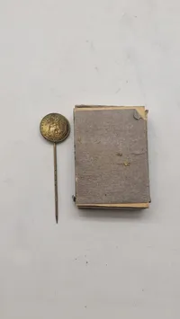 Sjælden original nål fra D.N.S.A.P møde i KB hallen 1941