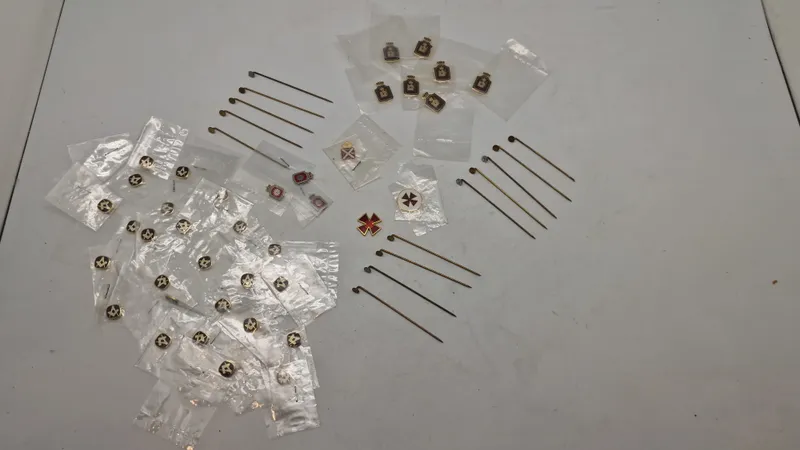 Samling Frimurer pins
