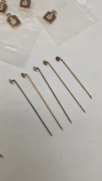 Samling Frimurer pins