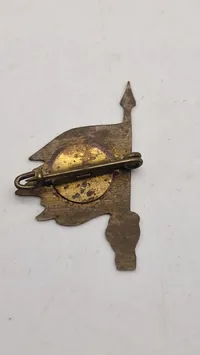 Ekstremt sjældent originalt D.N.S.A.P emblem (Stormfanen)