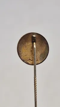 Sjælden original D.N.S.A.P nål