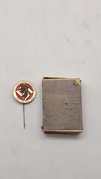 Sjælden original D.N.S.A.P nål