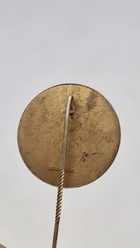 Sjælden original D.N.S.A.P nål