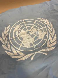 Originalt UN flag