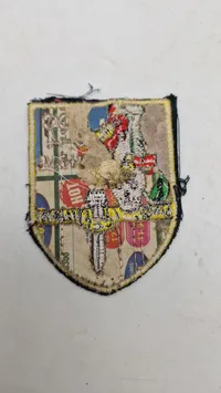Originalt patch, US Army 5th Special Forces Group, der blev brugt under Vietnamkrigen