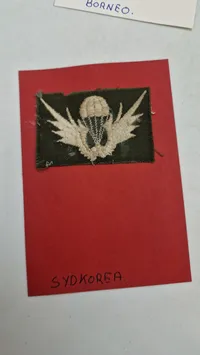Samling originale Airborne patches