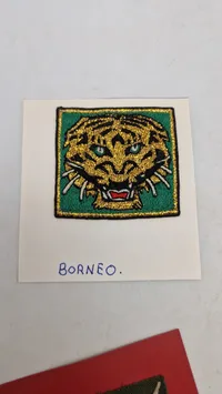 Samling originale Airborne patches