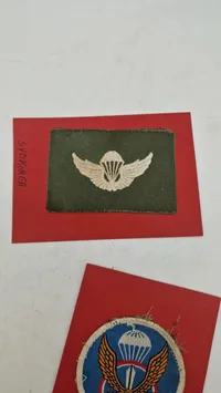 Samling originale Airborne patches