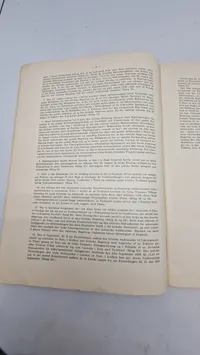 Den tyske hvidbog, 1939